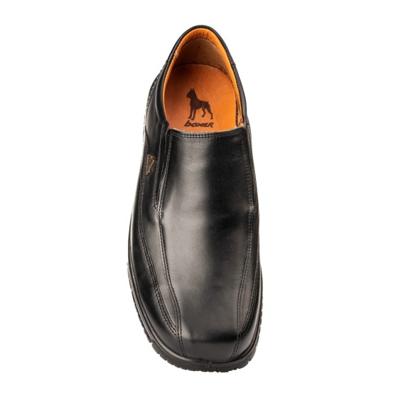 boxer 14755 pano